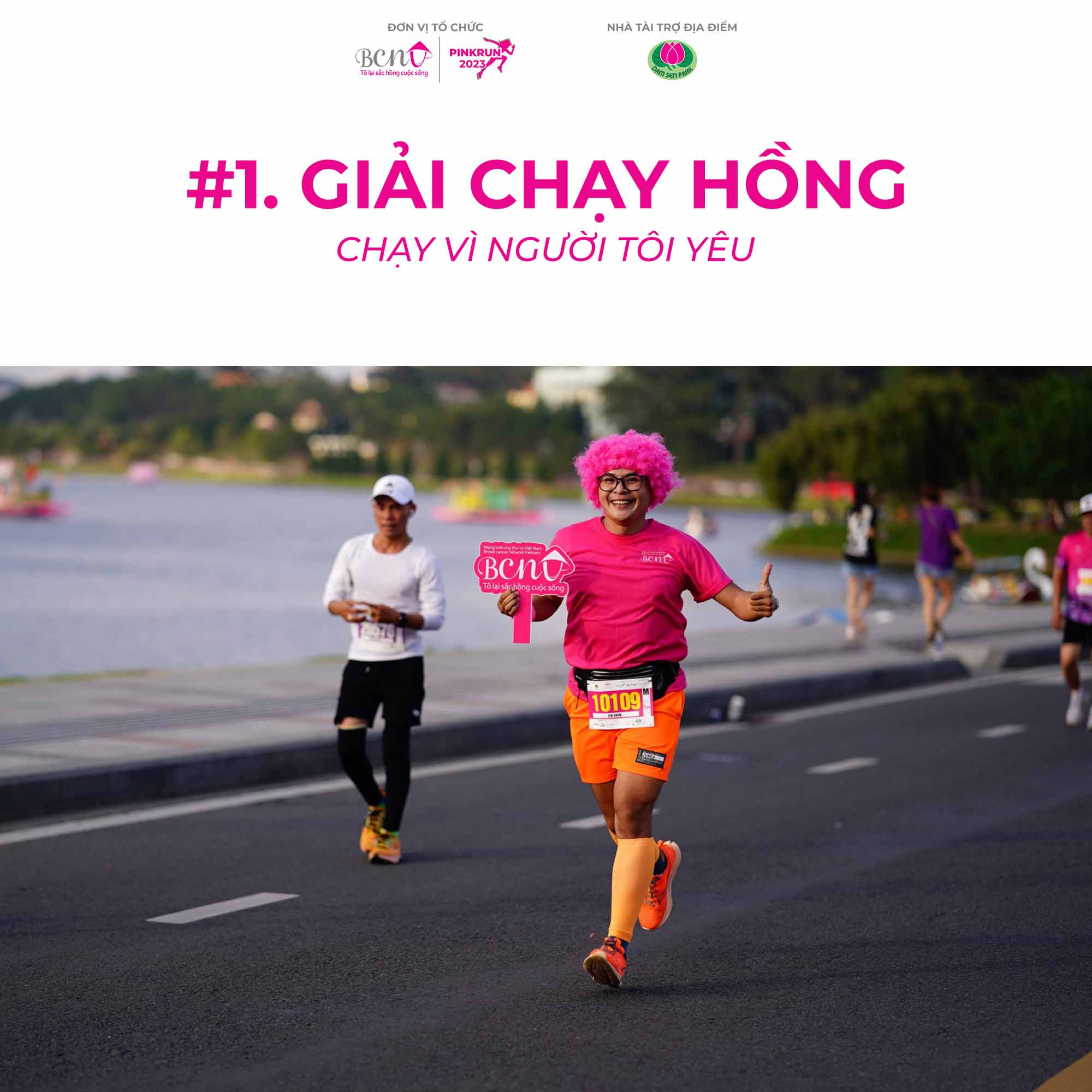 giải chạy hồng