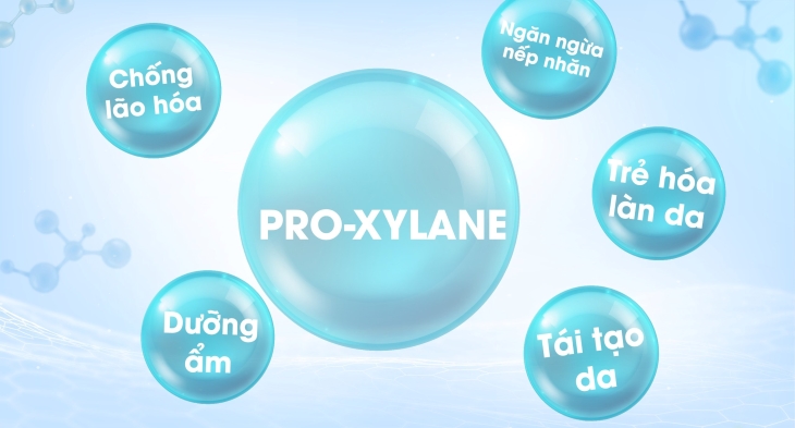 Công dụng tuyệt vời của Pro - Xylane.