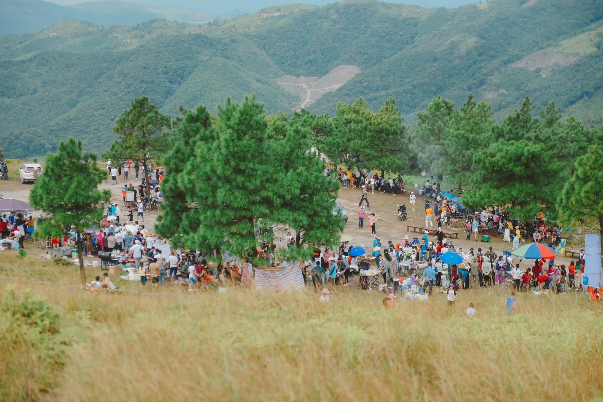 đỉnh phượng hoàng quảng ninh