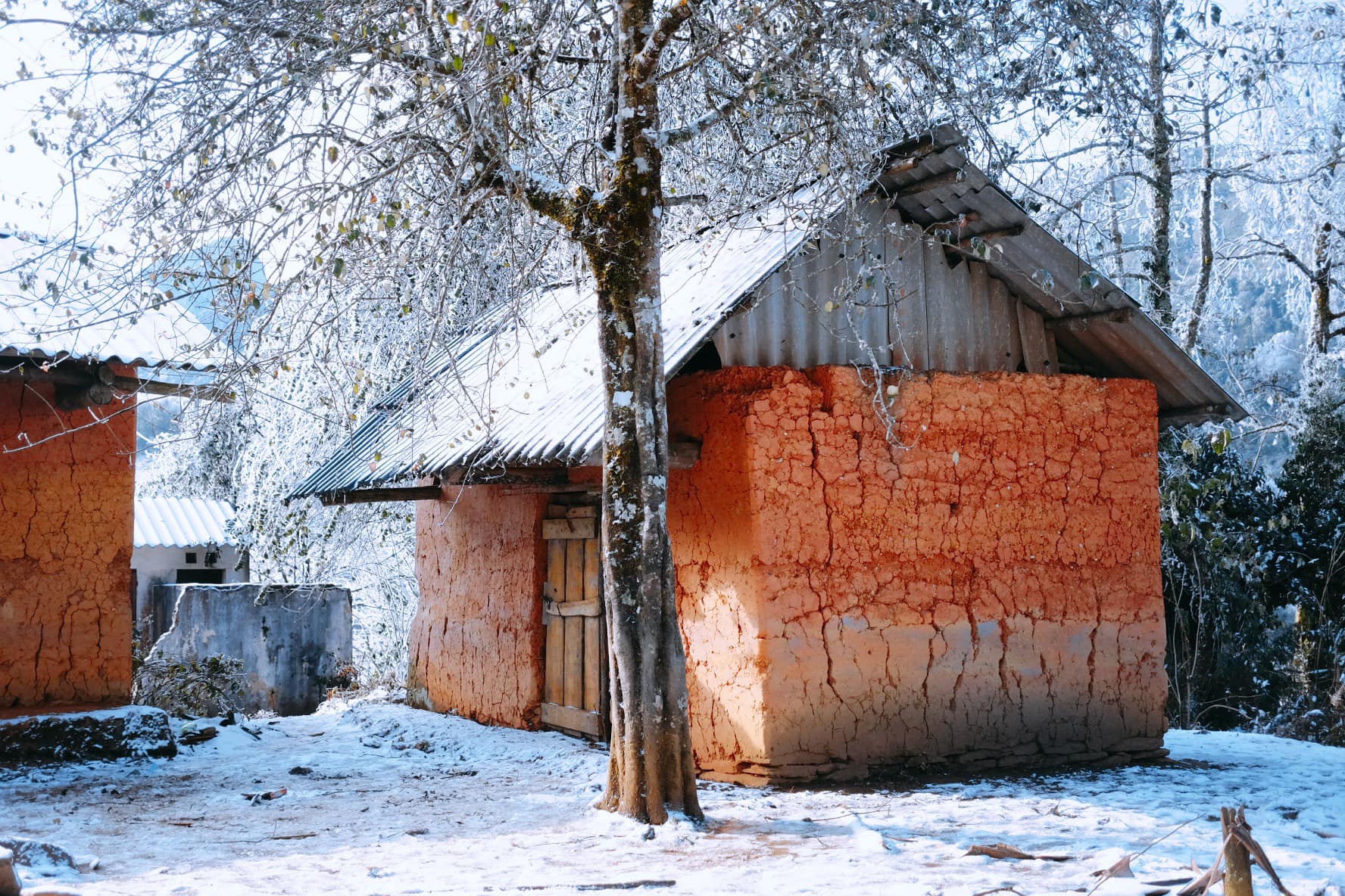 sapa tuyết rơi giáng sinh