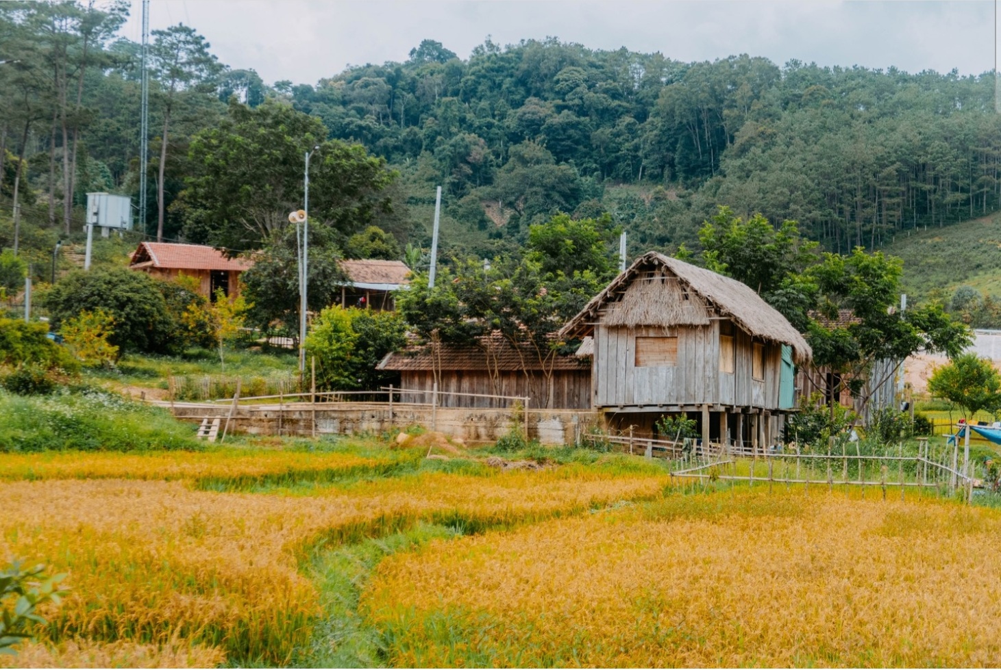 Du lịch Măng Đen