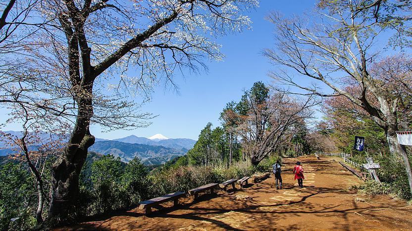 Đường lên núi Takao ngắm núi Phú Sĩ