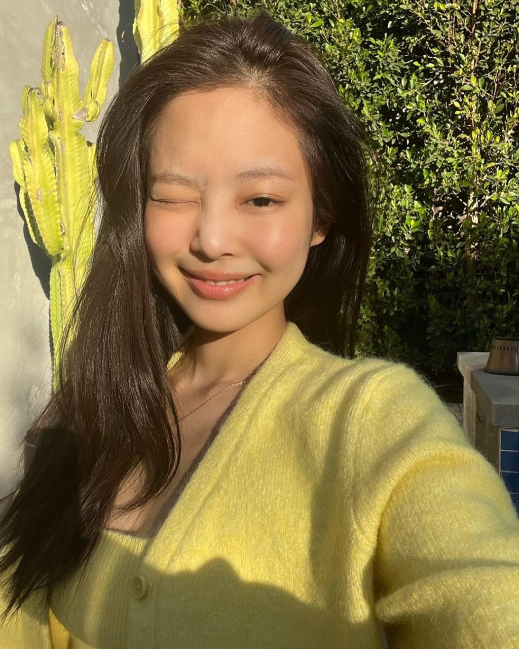 da mộc Jennie