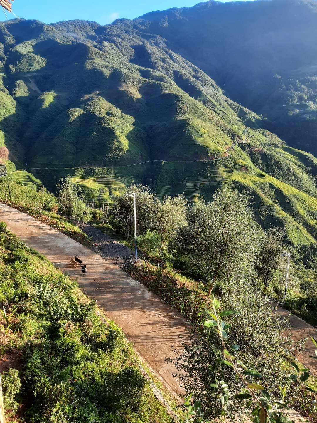 du lịch tà xùa