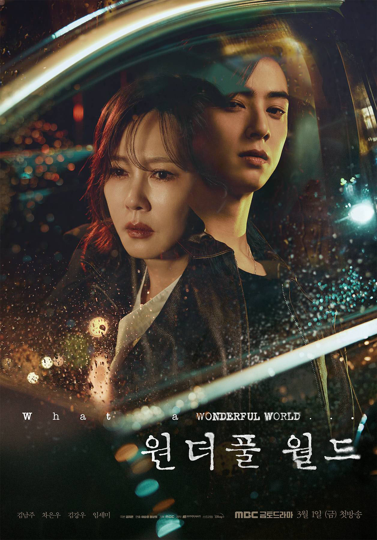 poster phim wonderful world