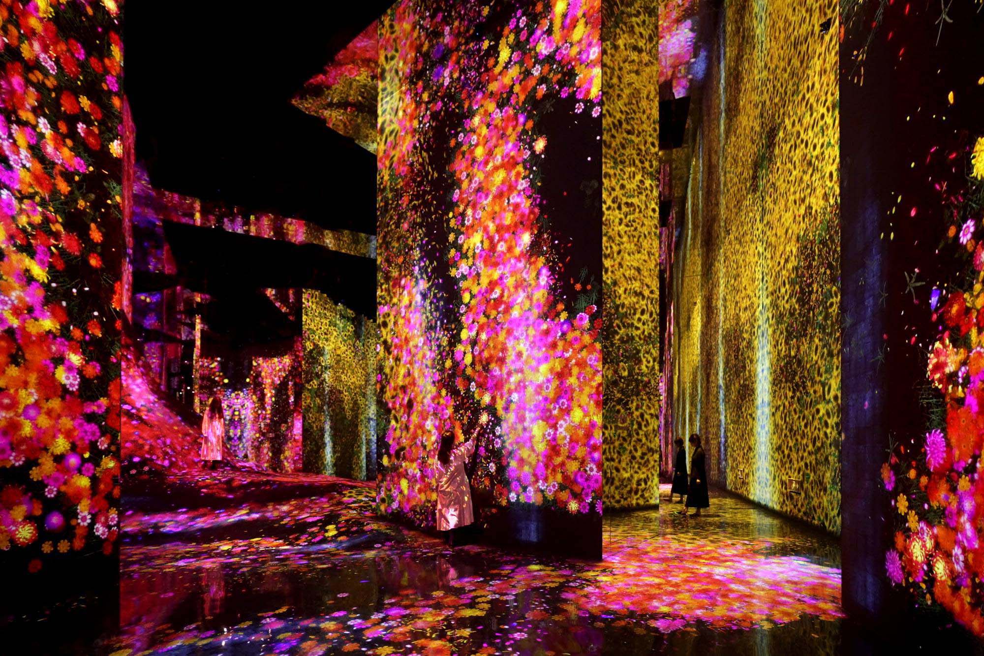 bảo tàng teamlab massless bắc kinh