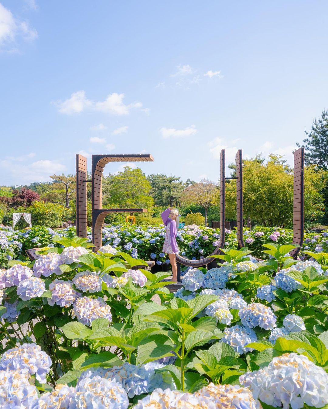 cô gái chụp hình ở công viên hueree jeju