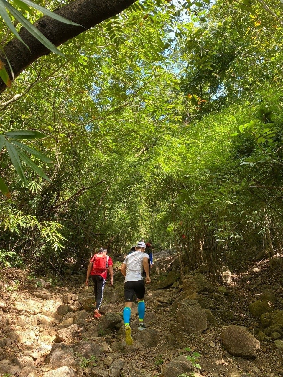 Núi dinh hiking