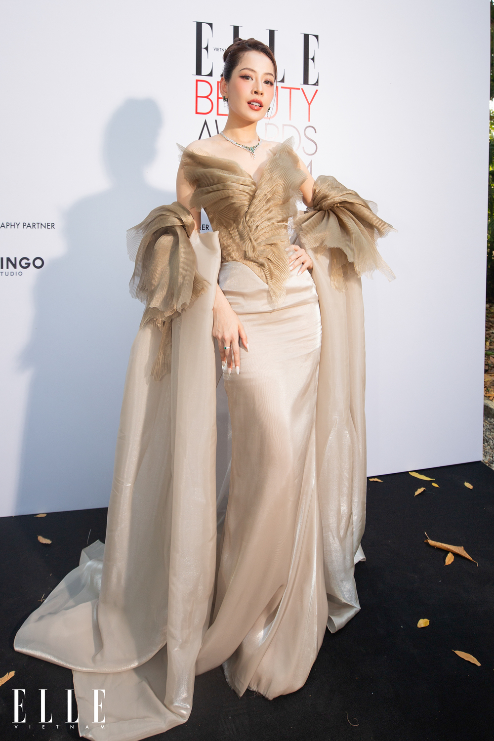 chipu elle beauty awards