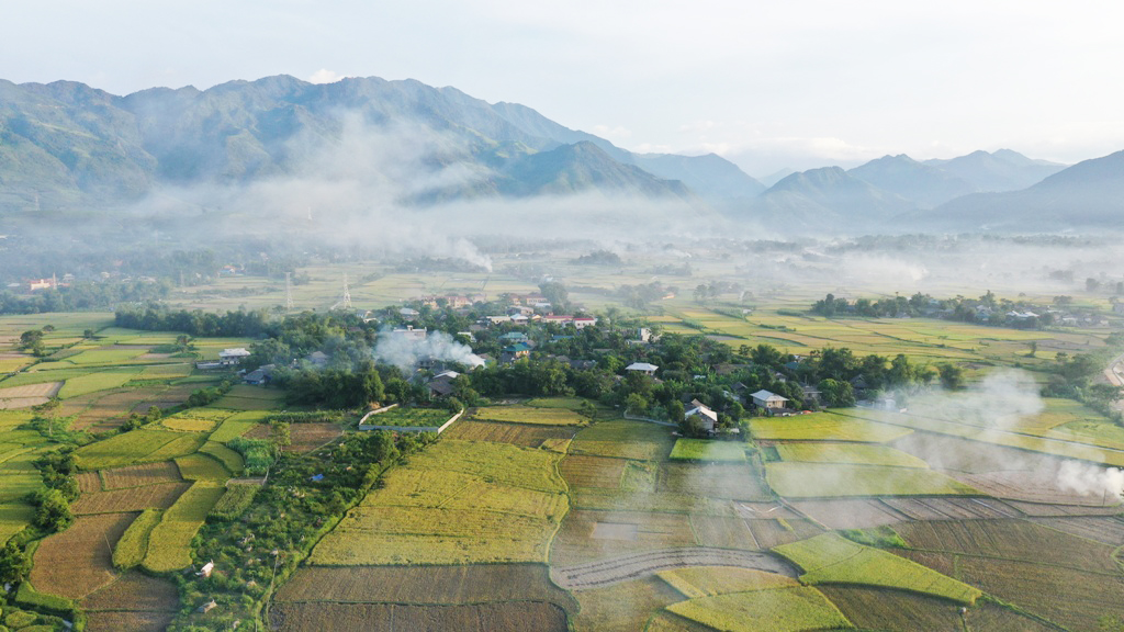 Cánh đồng mường lò Yên Bái