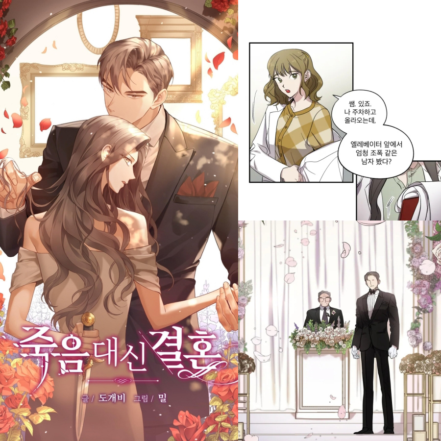 vows of matrimony webtoon