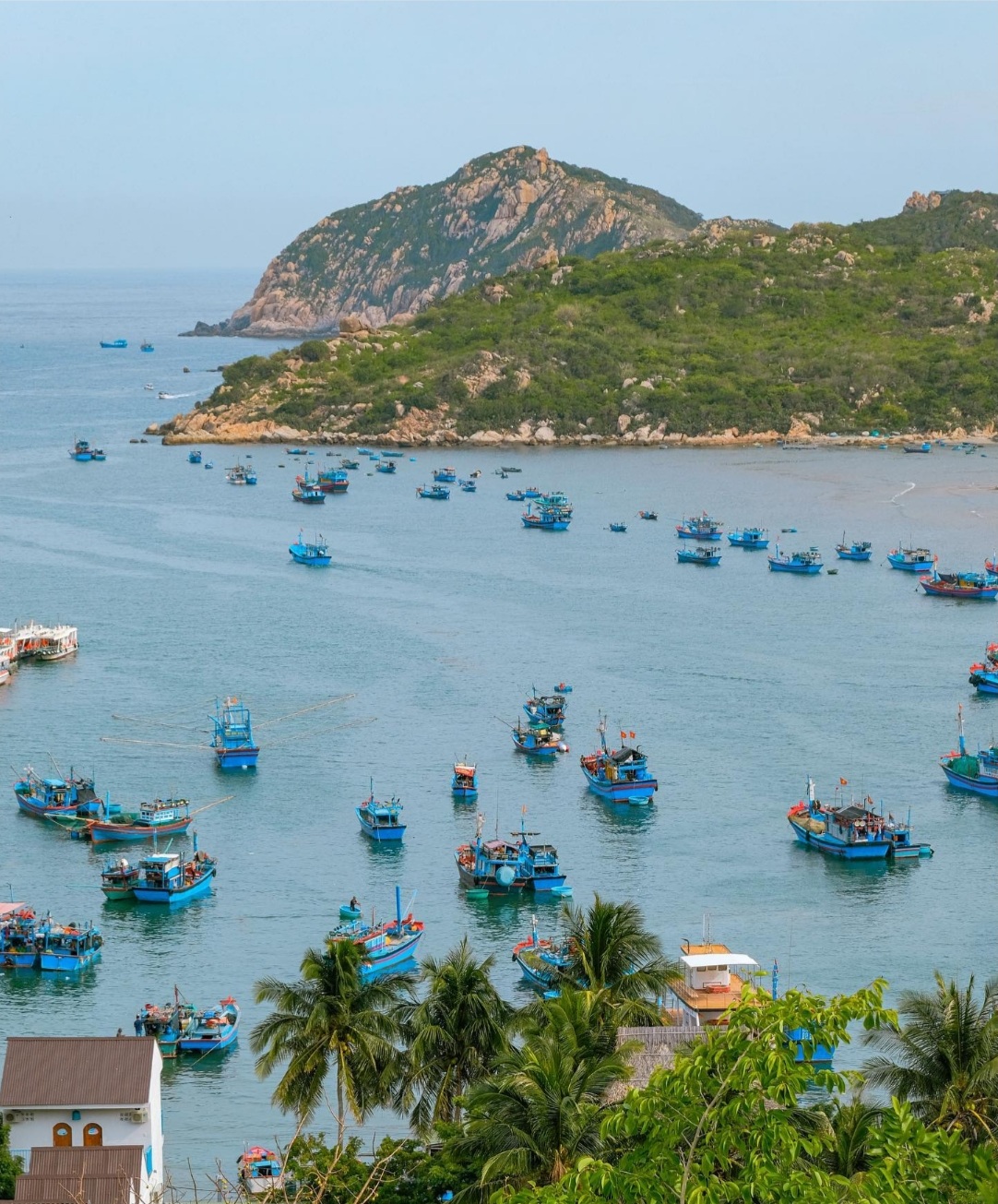 Vịnh Vĩnh Hy du lịch lễ 30/4 - 1/5
