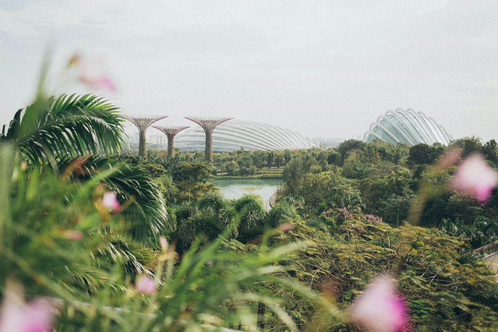 du lịch singapore