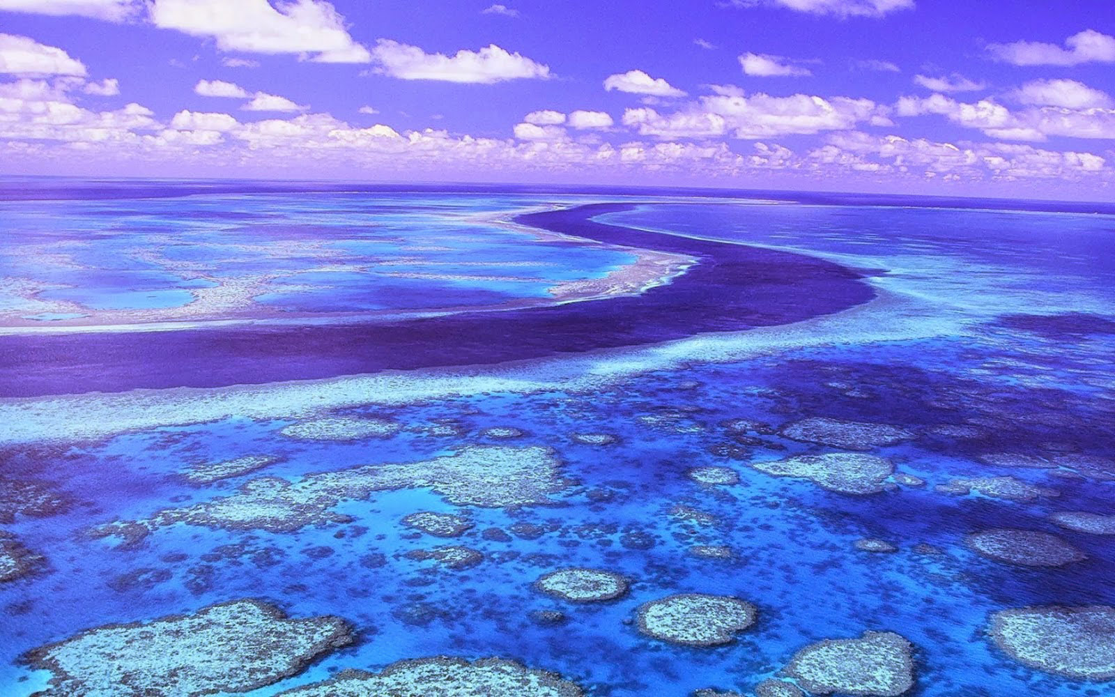 great barrier úc