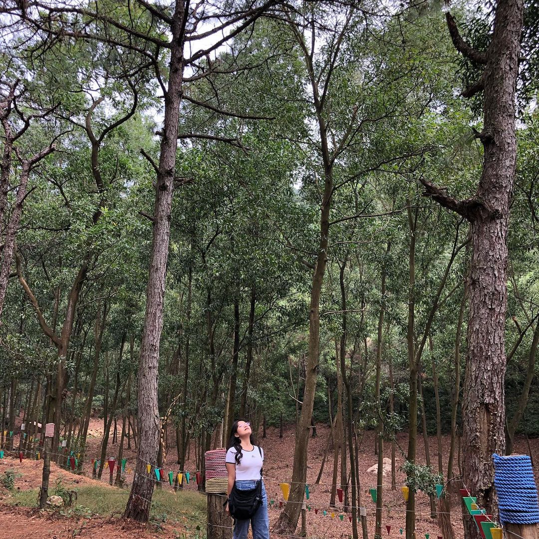 du lịch hà nội