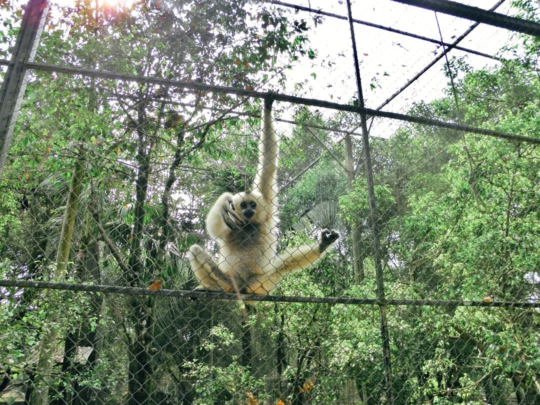 khu du lịch vườn xoài đồng nai
