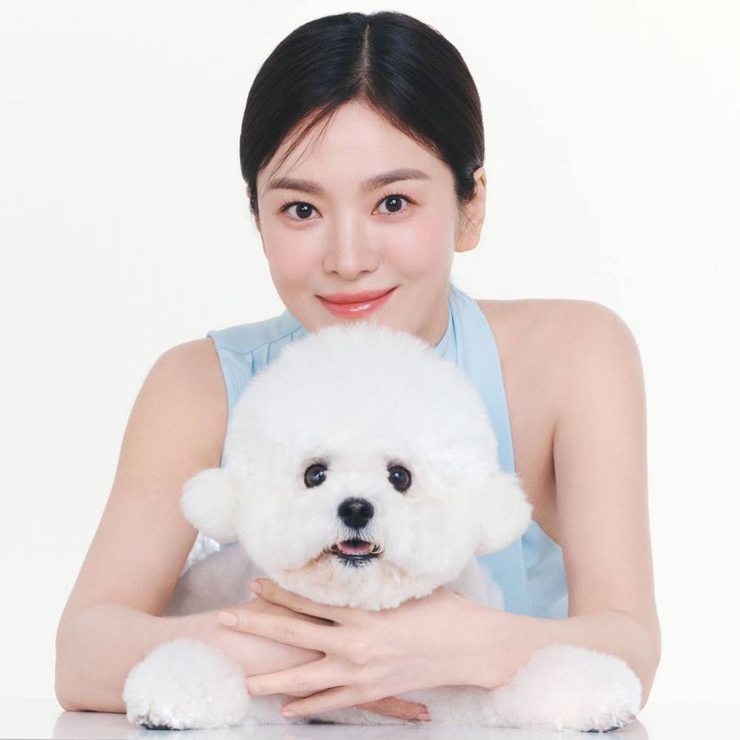 Song Hye Kyo chụp hình cùng thú cưng