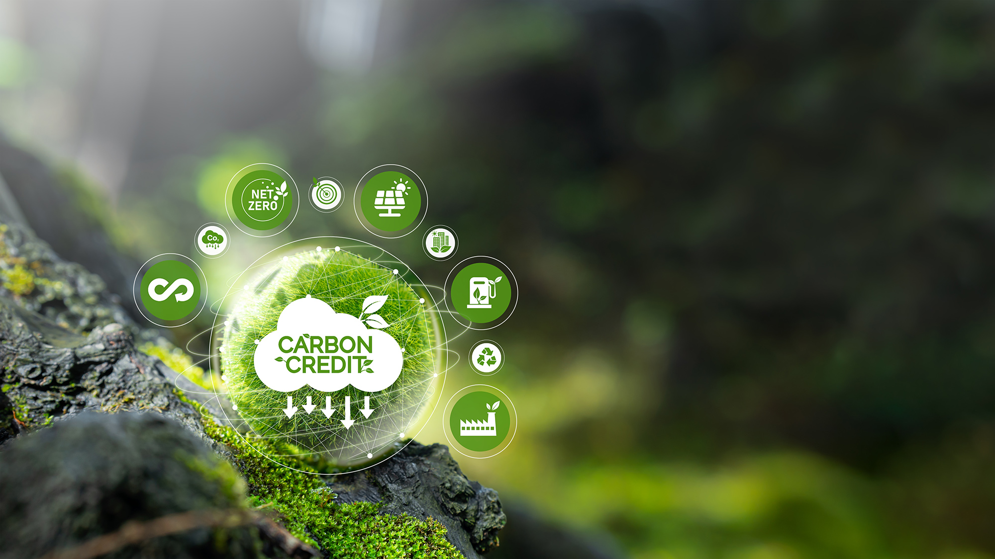 mỹ phẩm tín dụng carbon