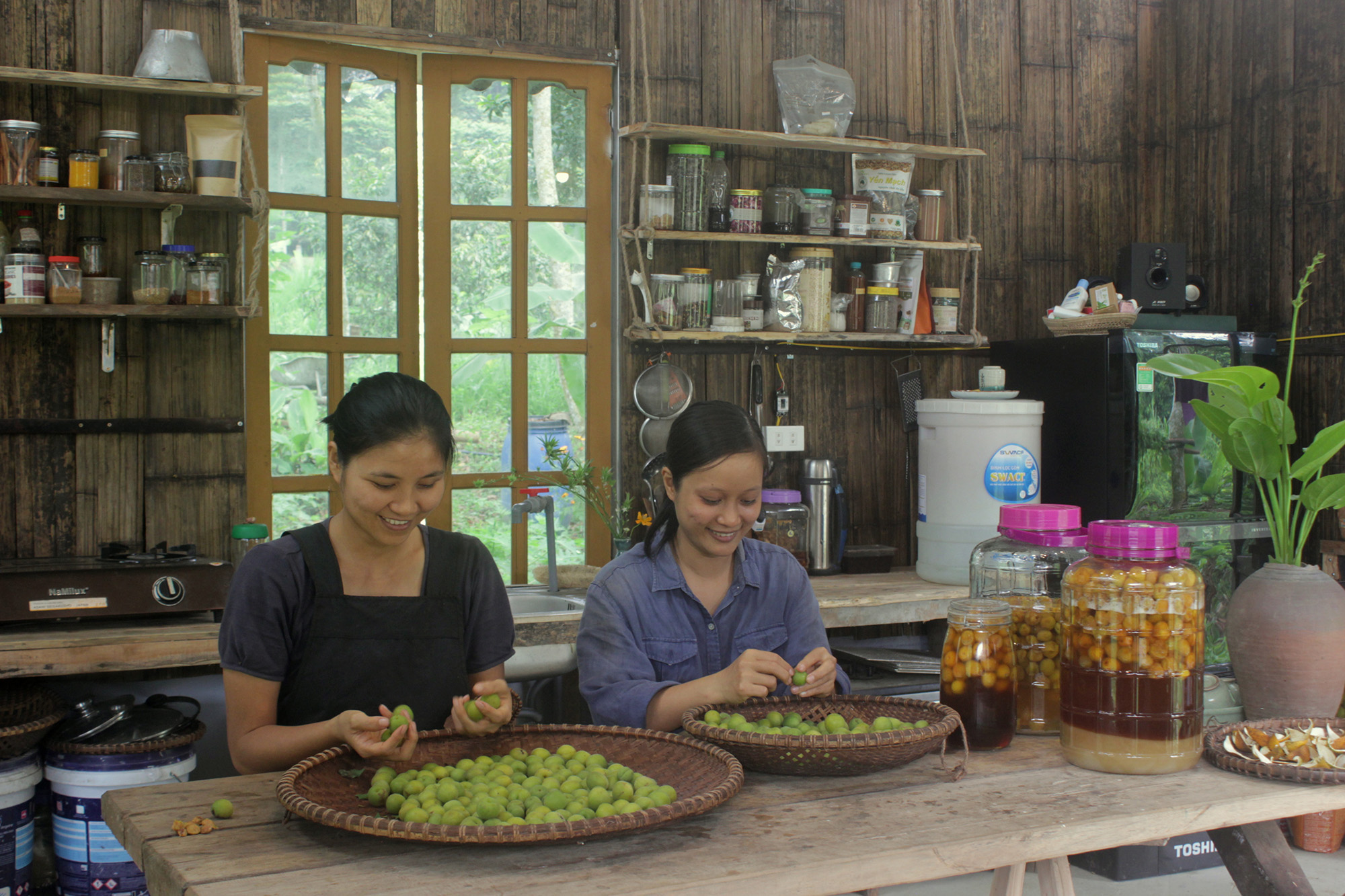 vườn cuộc sống về vườn