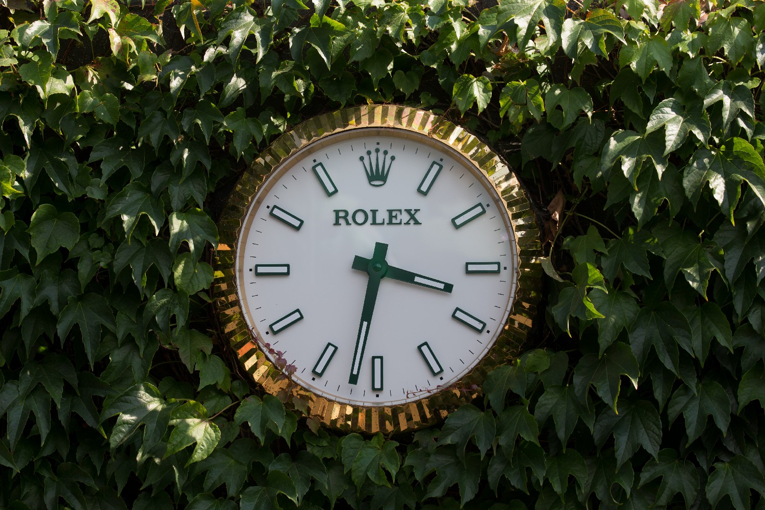 Đồng hồ Rolex