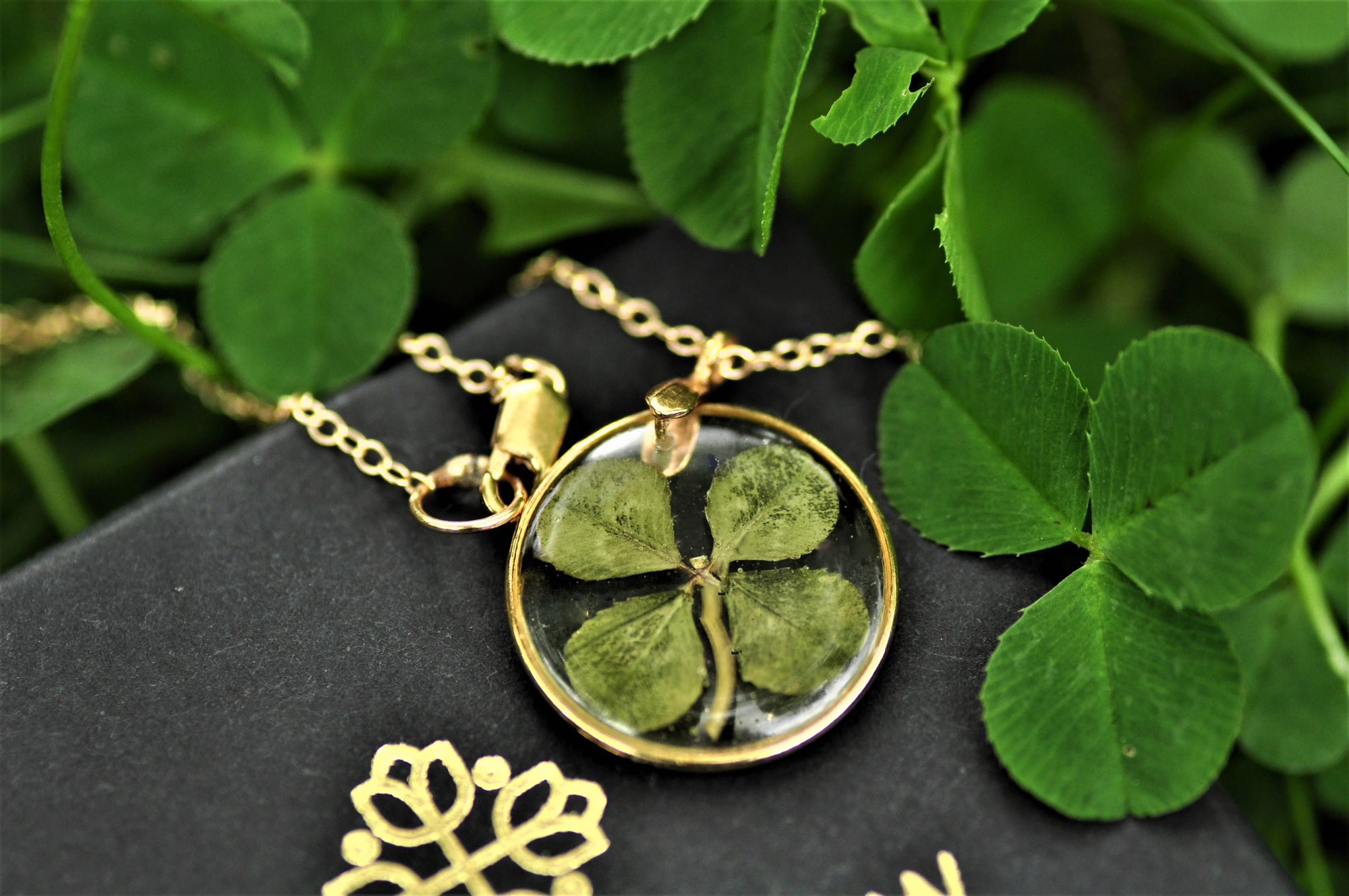 cỏ bốn lá may mắn cho cung hoàng đạo
