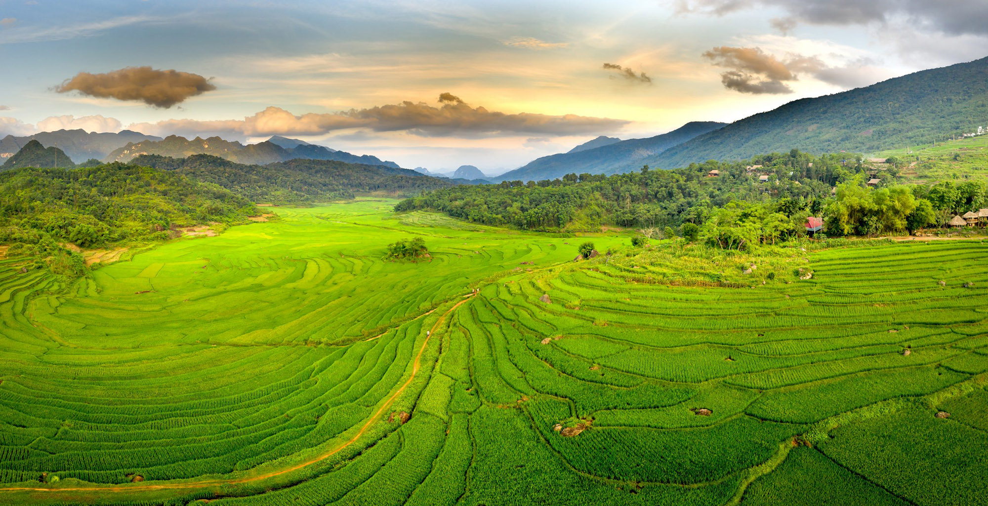 Pù luông ở nơi lưng chừng