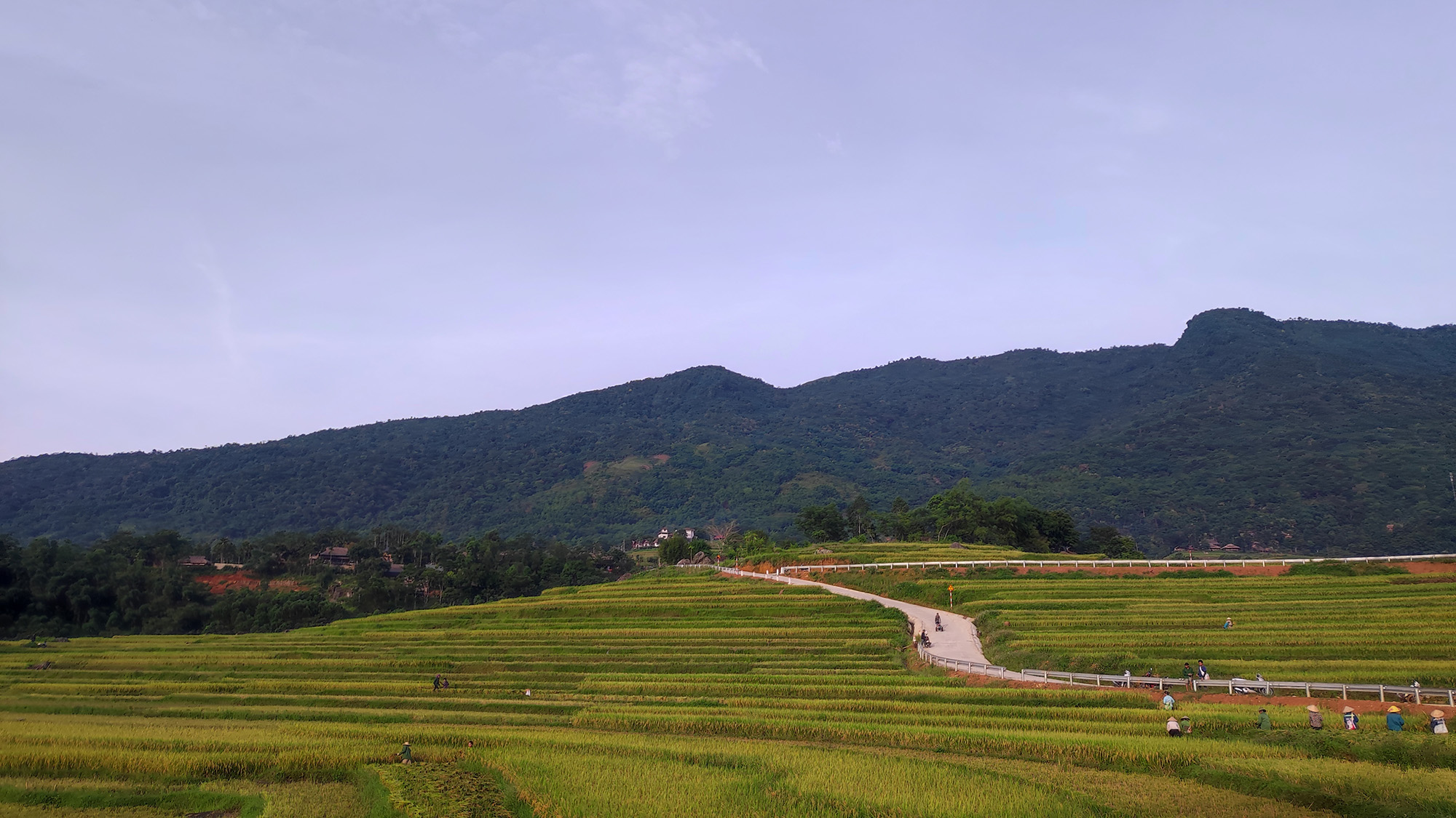 ruộng tại son ba muoi