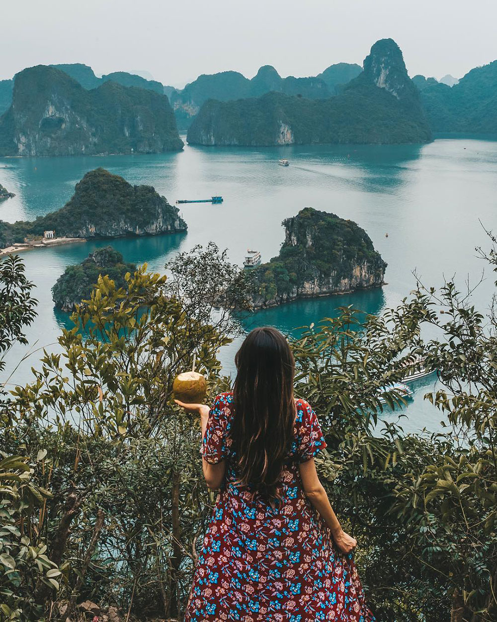đảo ti tốp vịnh hạ long