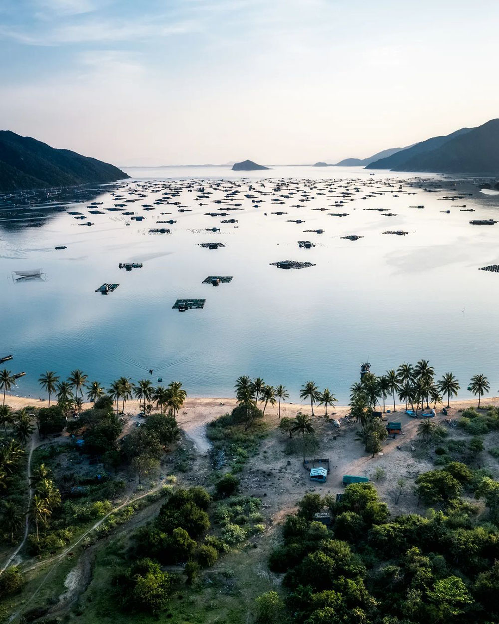 vịnh vũng rô