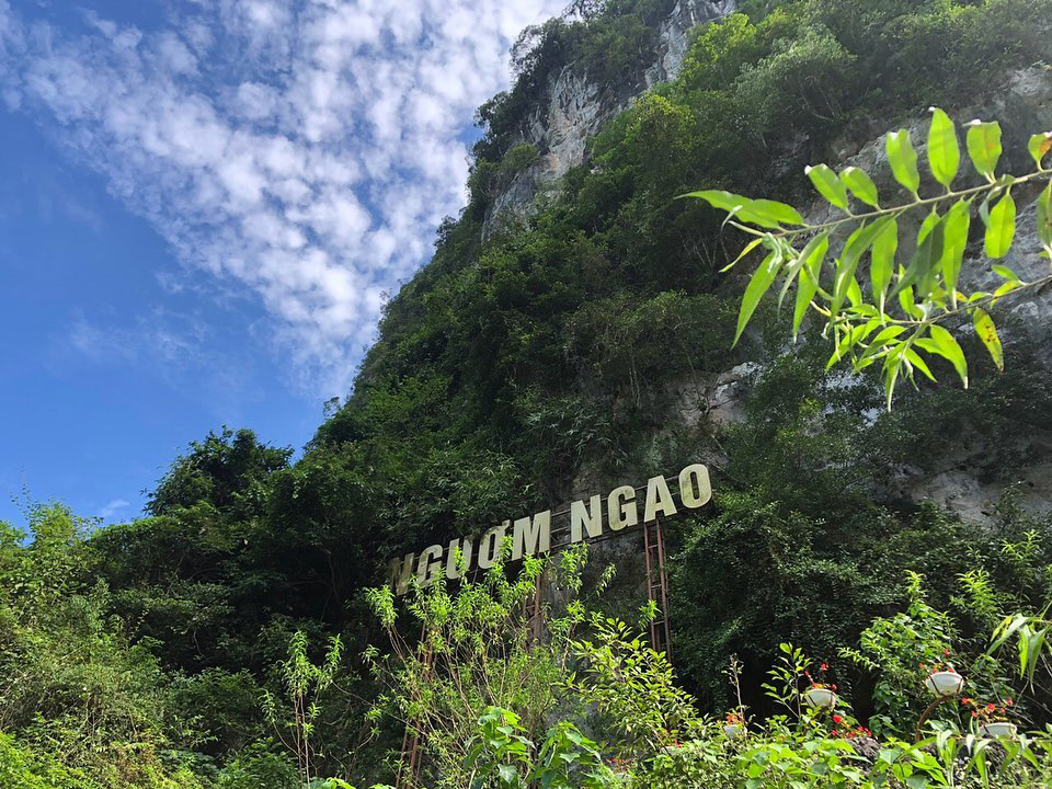 động ngườm ngao