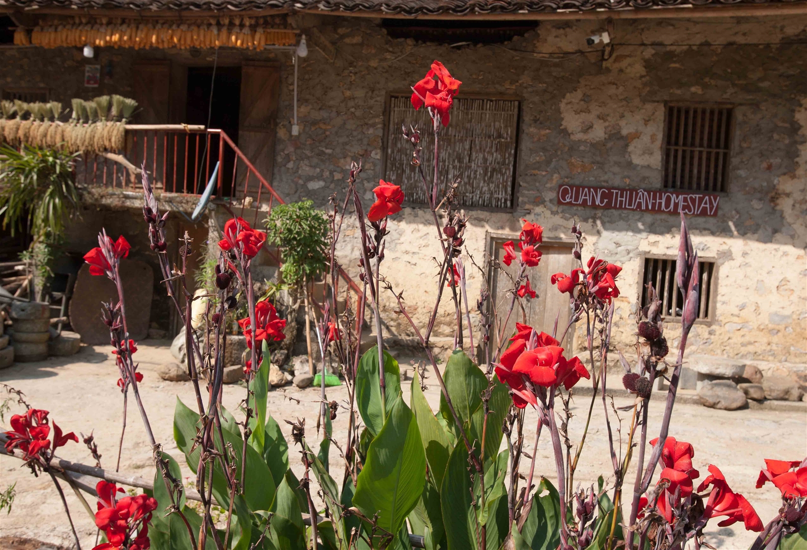 Quang Thuận Homestay Cao Bằng