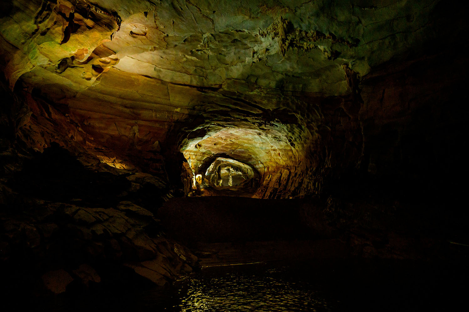 động phong nha quảng bình