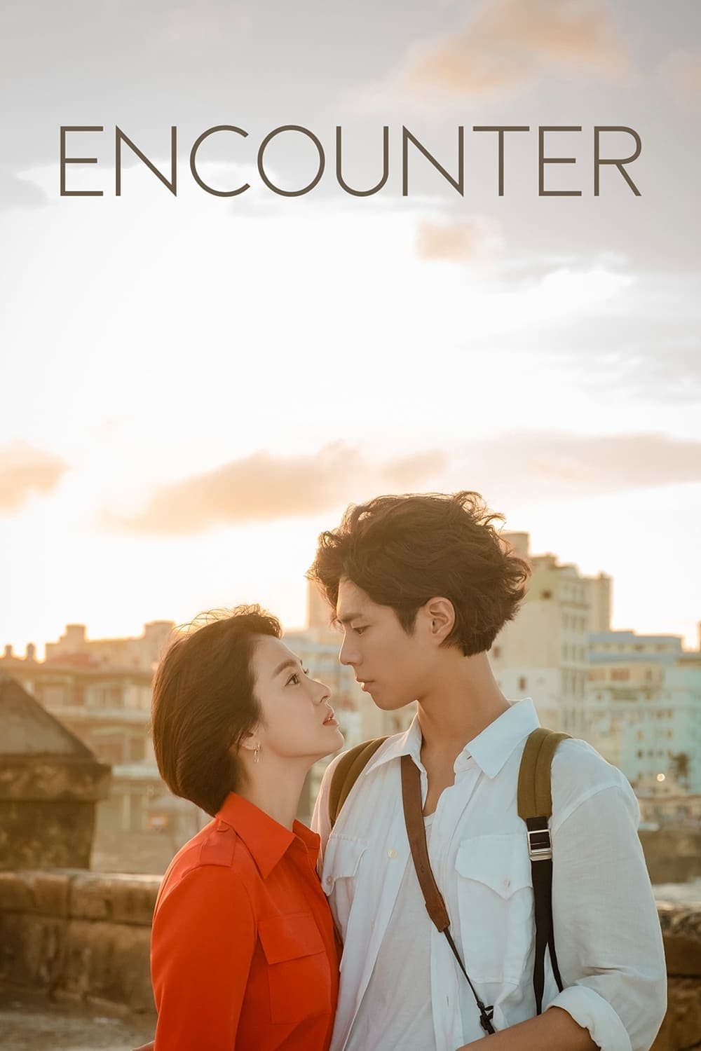 poster phim encounter