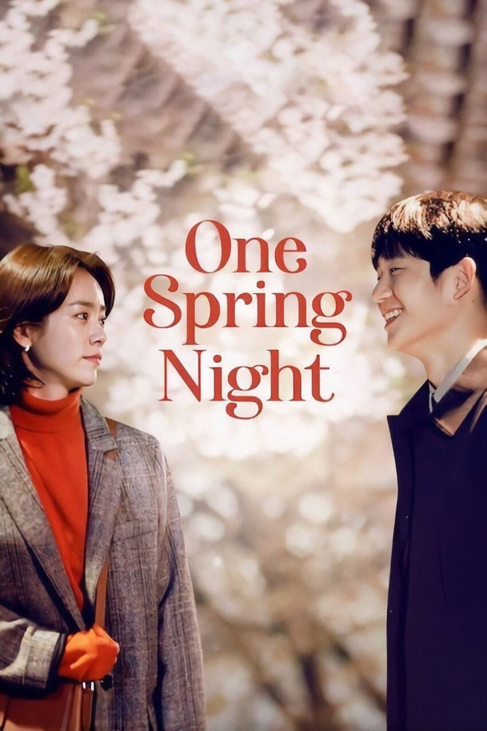 poster phim hàn one night spring