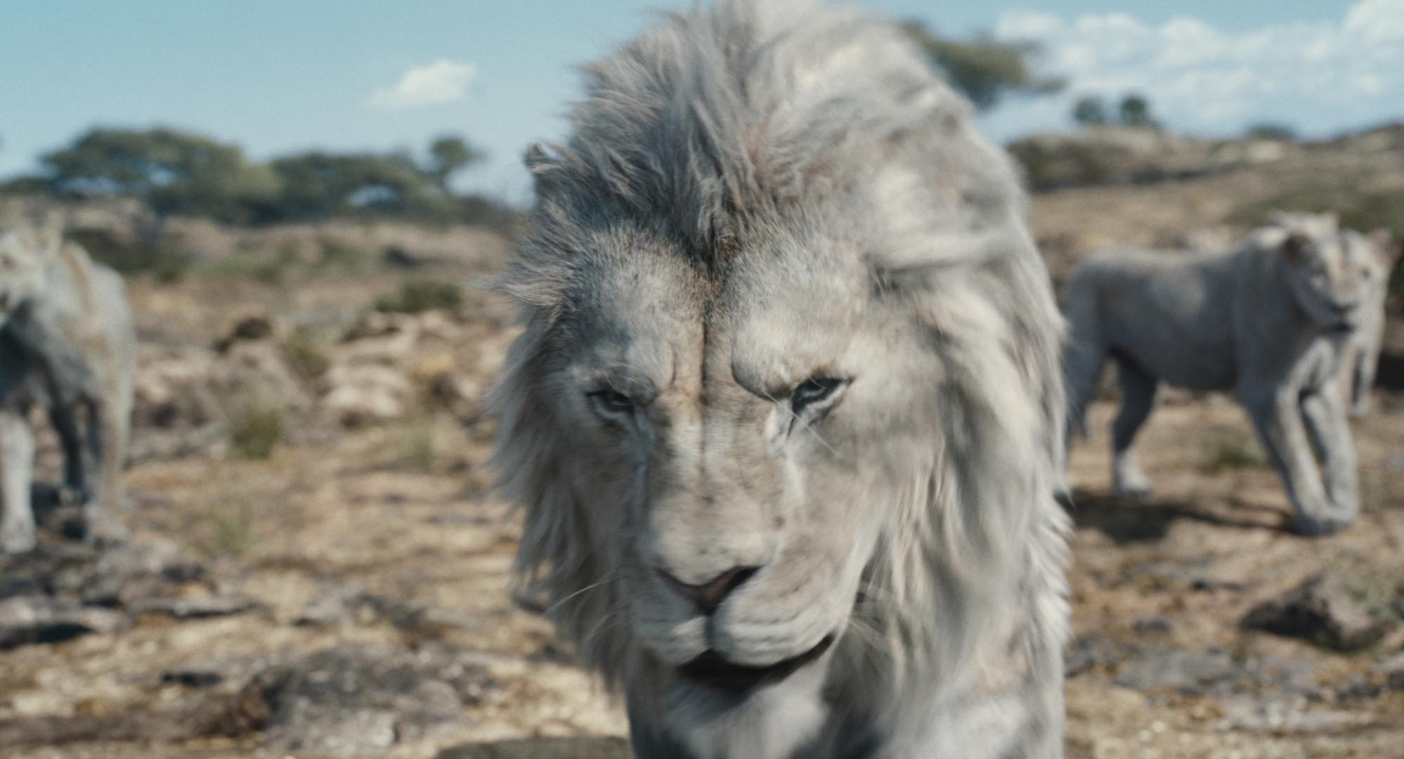 phim mufasa the lion king