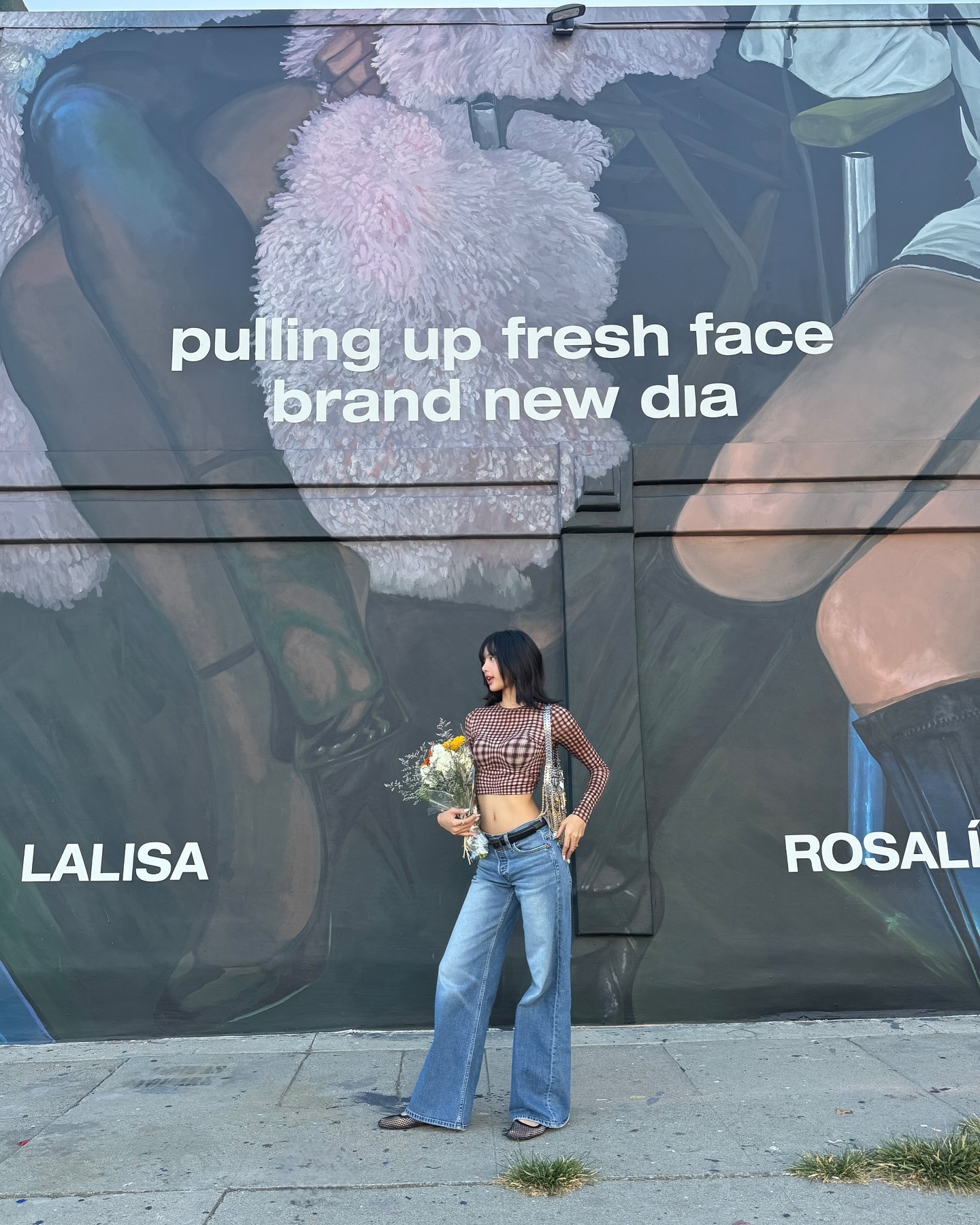 Lisa - áo tay dài crop